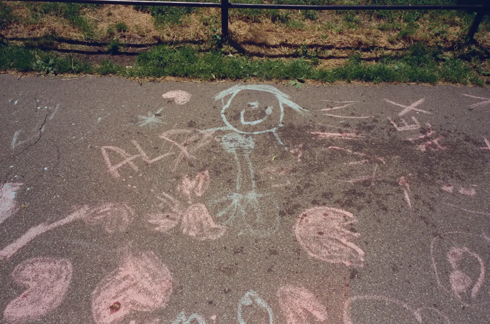 Cinestill 400d color photo