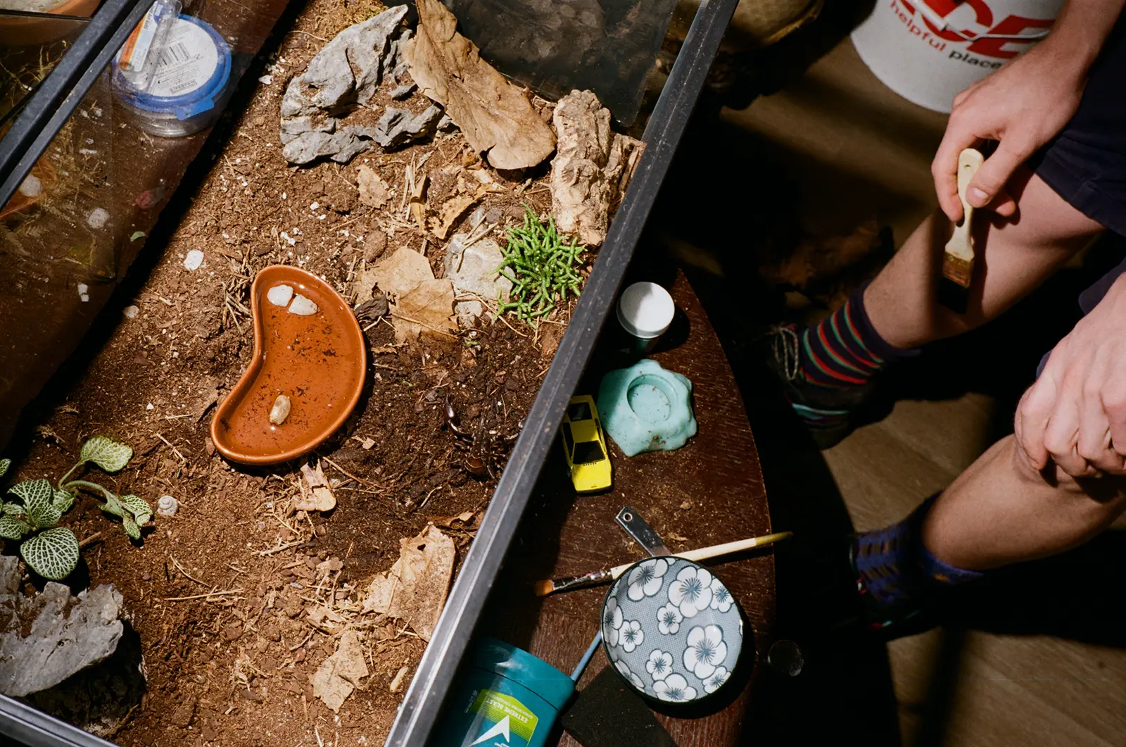 Fujifilm 200 color photo