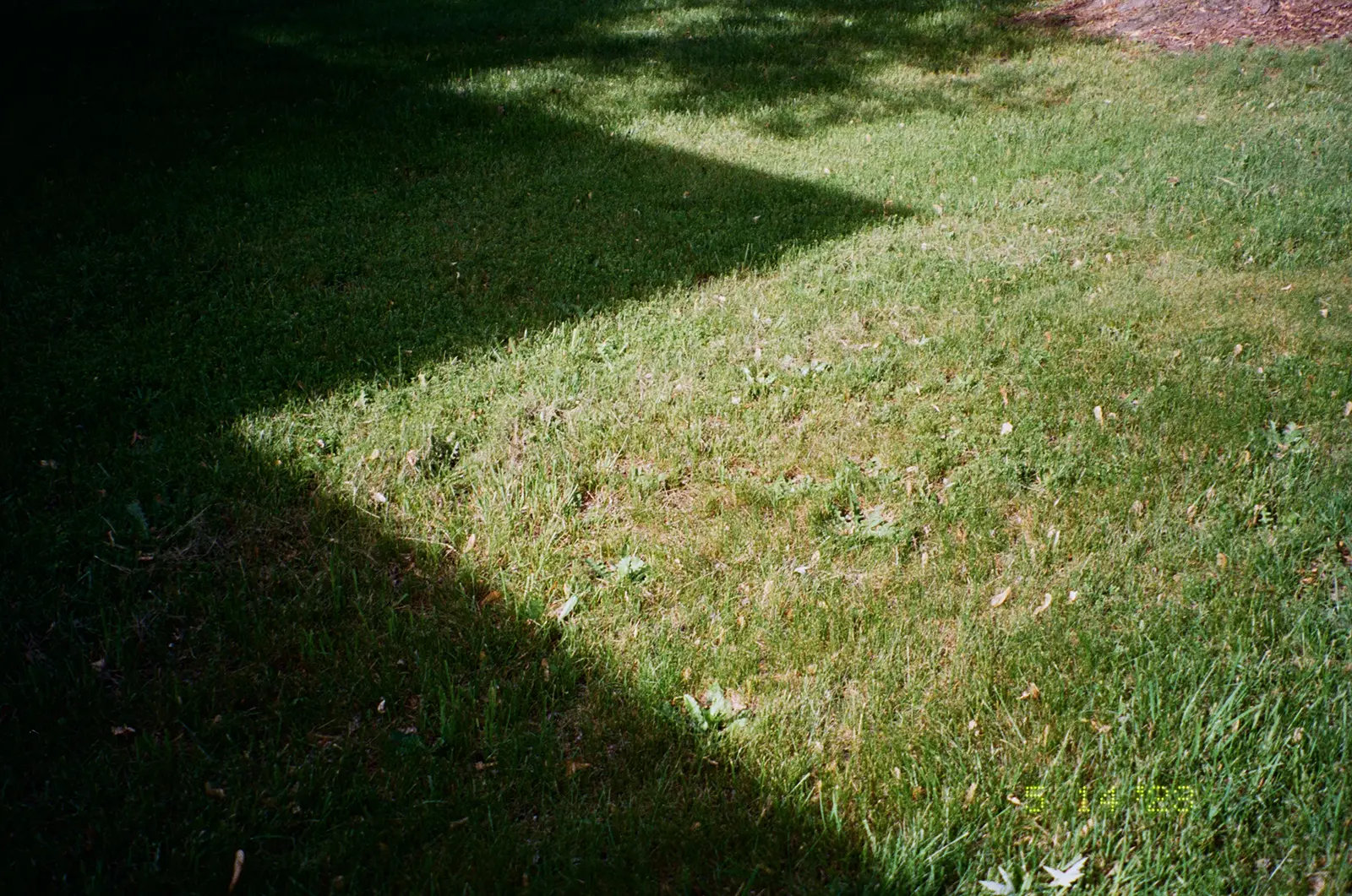 Fujifilm Superia color photo