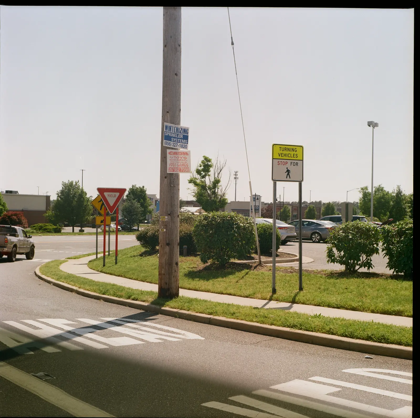 Kodak Gold color photo