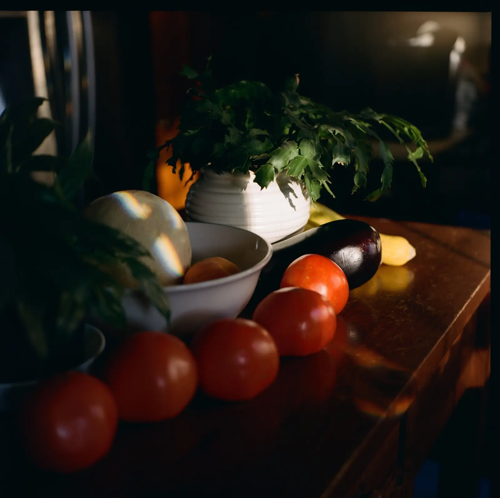 Kodak Professional color photo