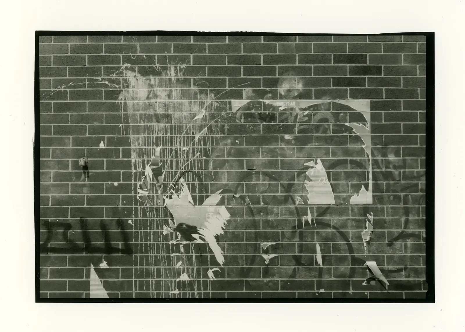 Darkroom photo - 