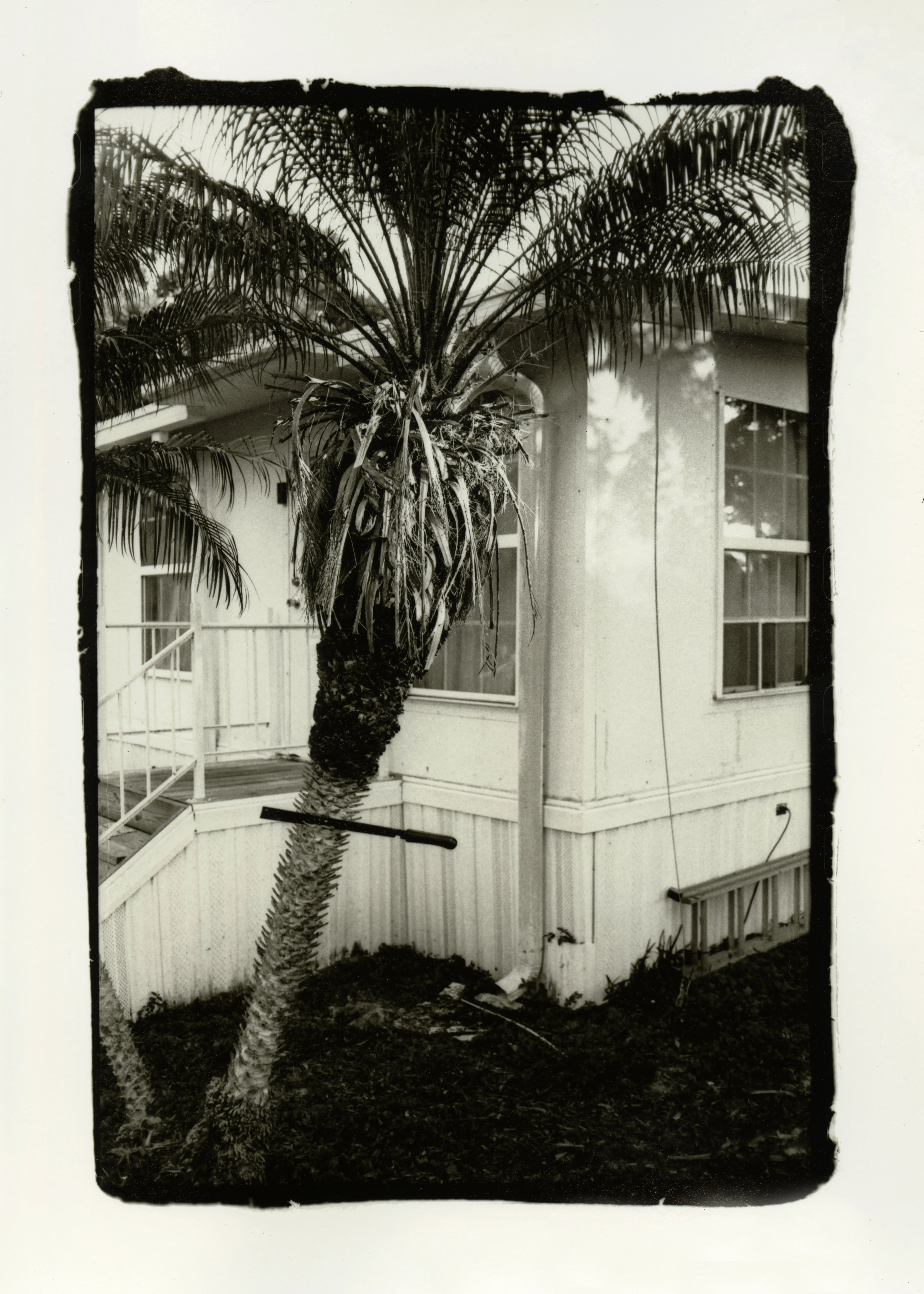 Darkroom photo - Dylan
