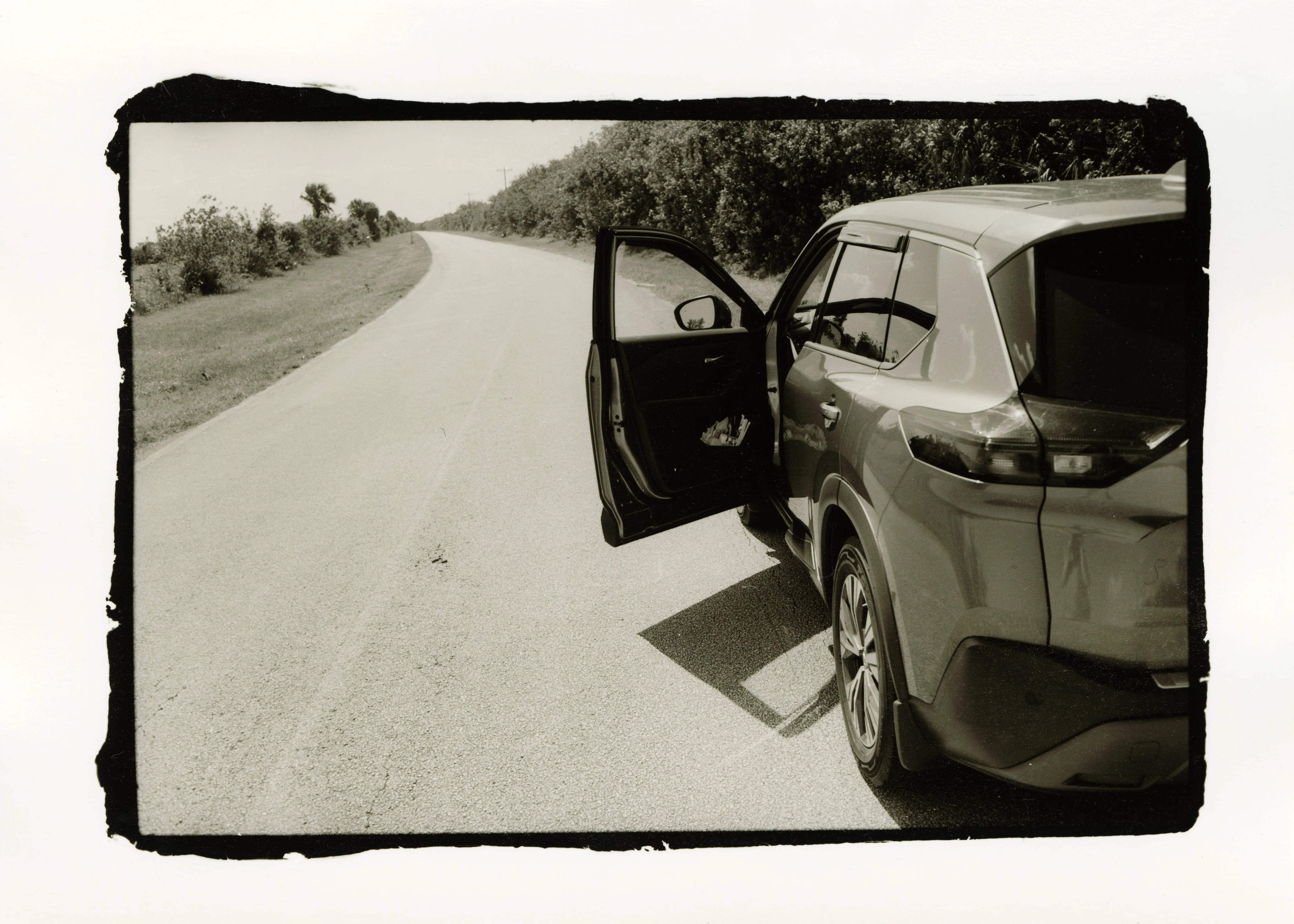 Darkroom photo - Dylan