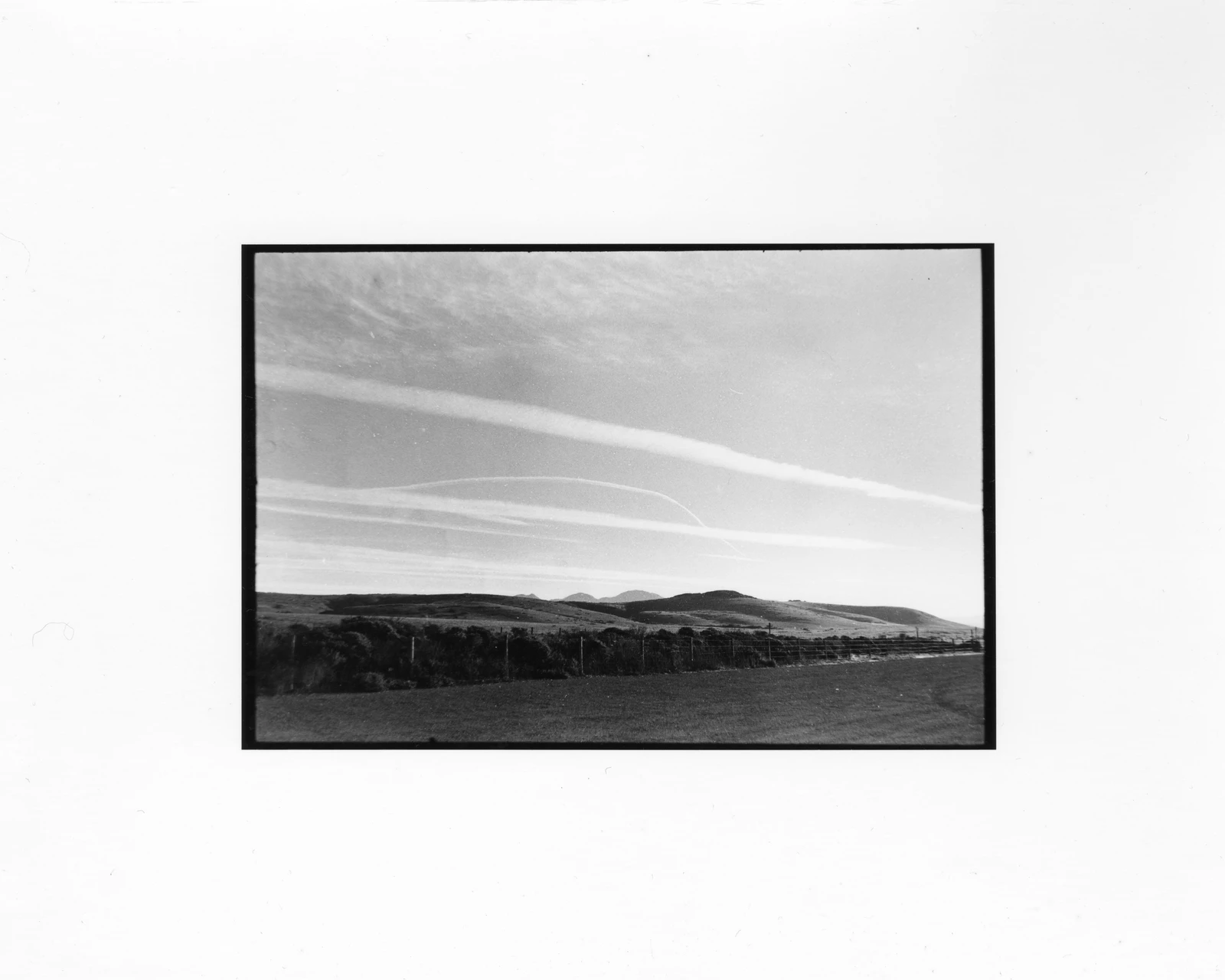Darkroom photo - Dylan