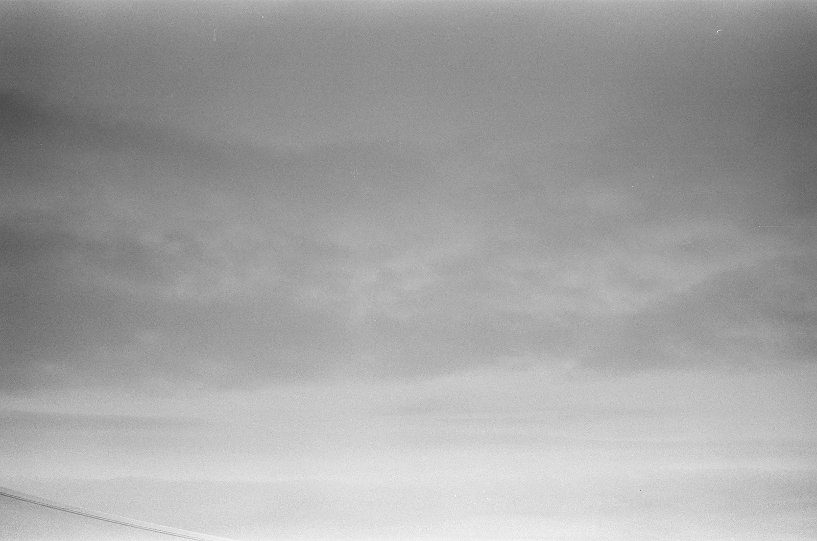 Florida - Ilford Delta  Professional