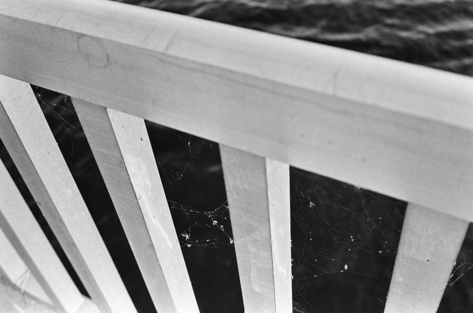 Florida - Ilford Delta  Professional