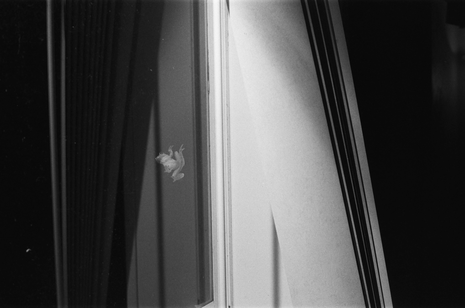 Florida - Some Bw Roll