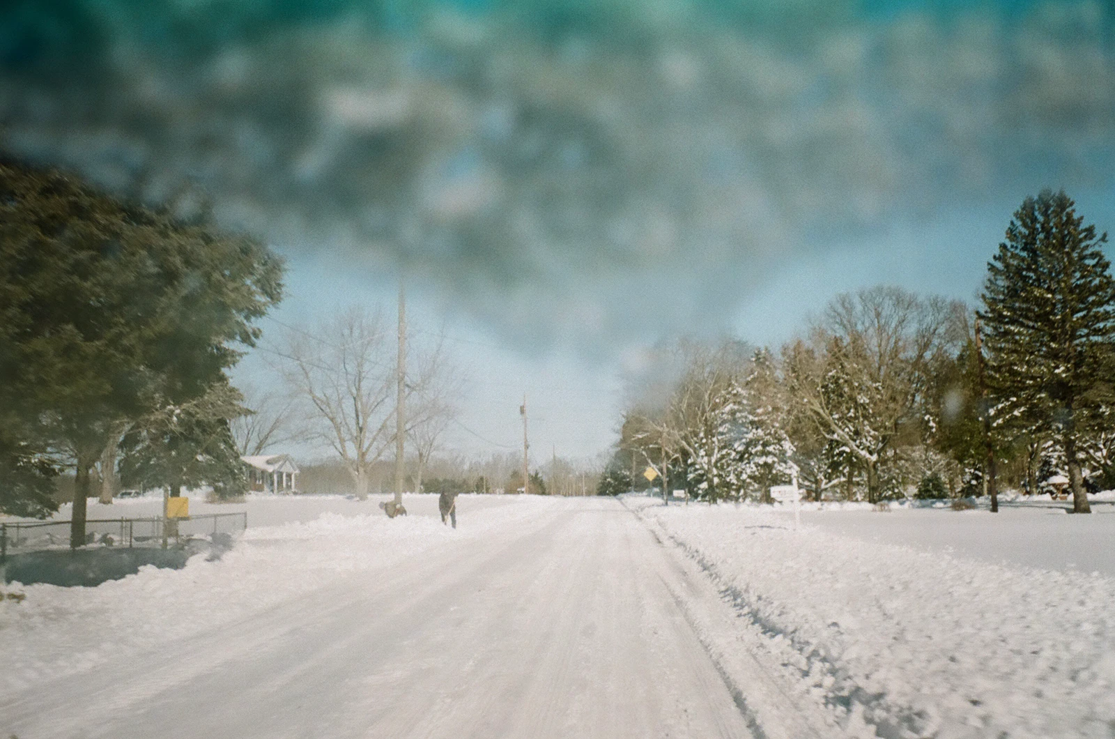 new jersey - 