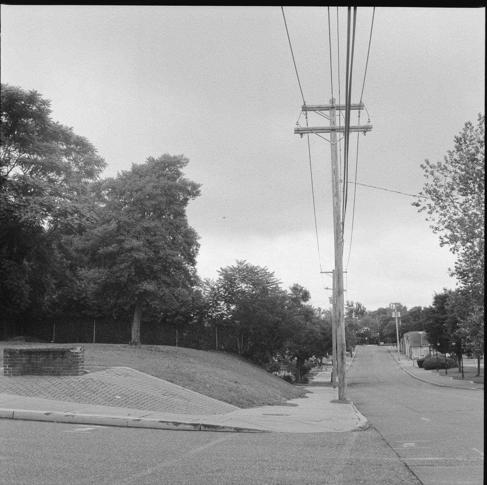 new jersey - Kentmere