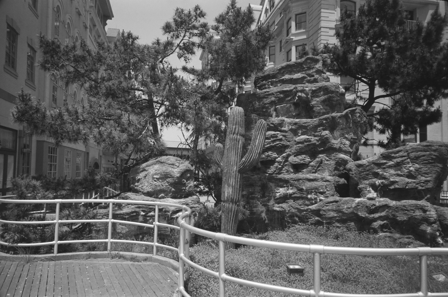 new jersey - Kodak Professional T Max