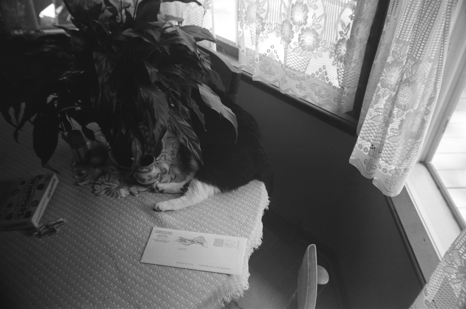 new jersey - Kodak Professional T Max