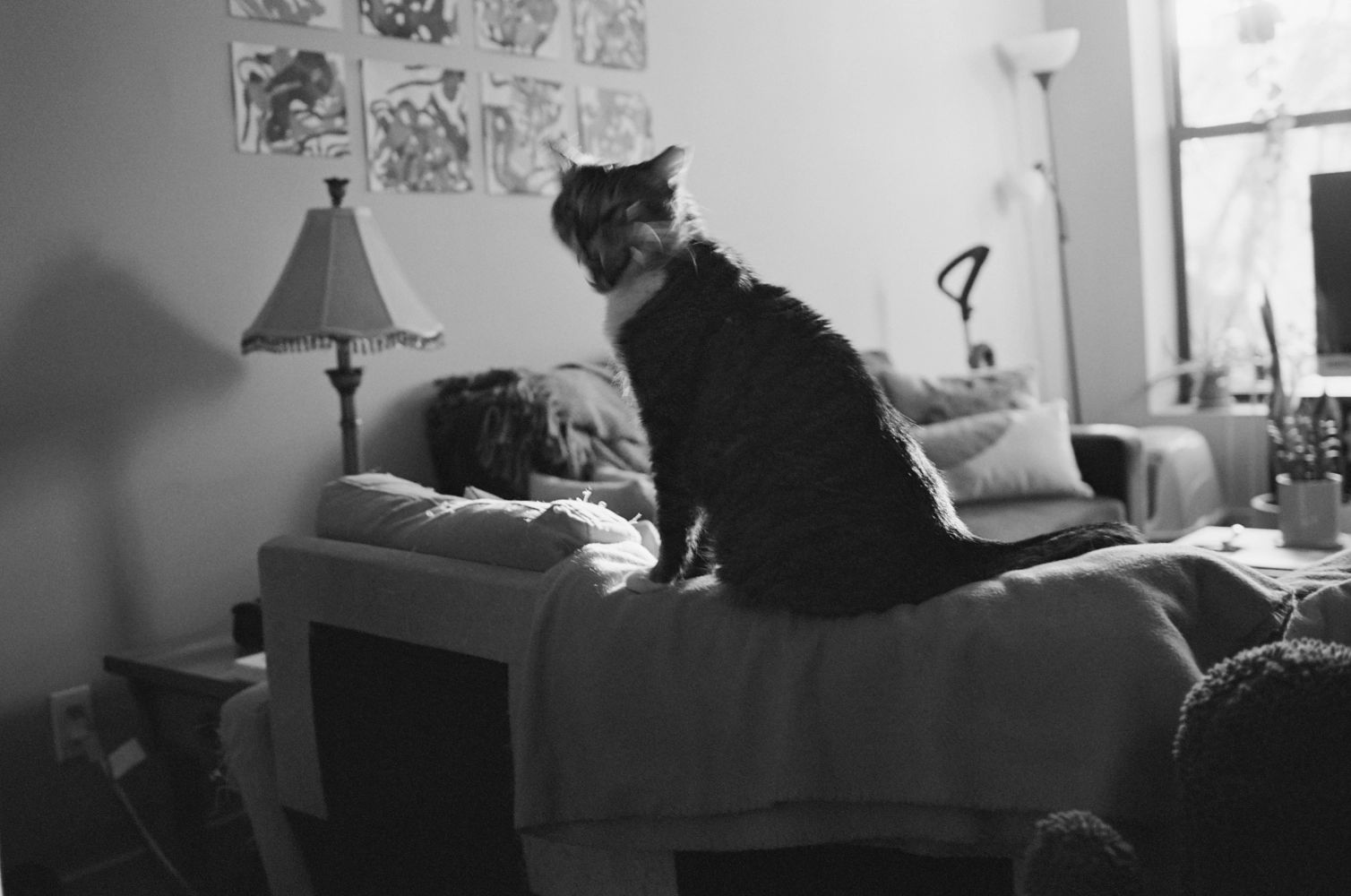 New York - Ilford Xp Super