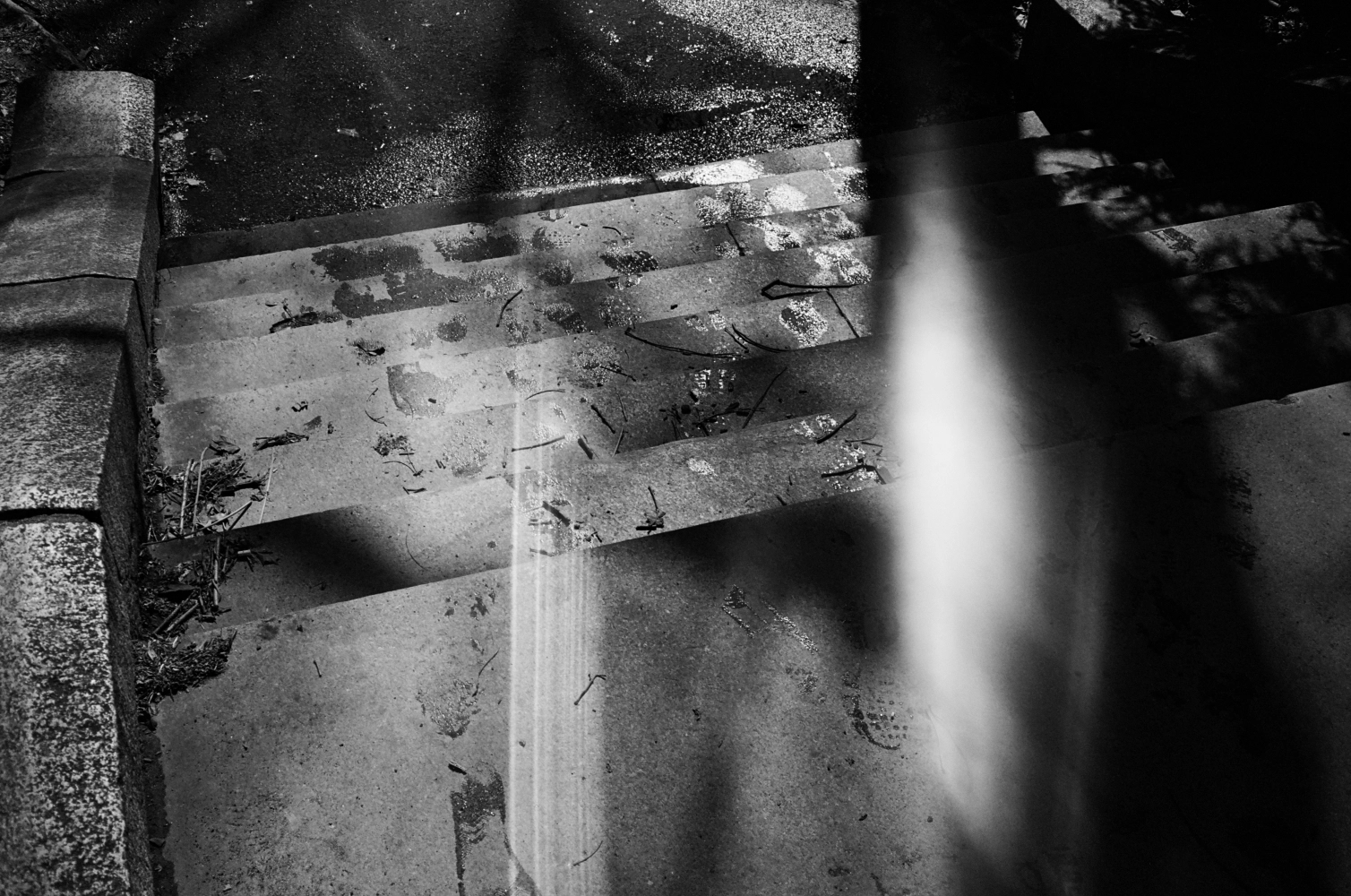 New York - Ilford Xp Super