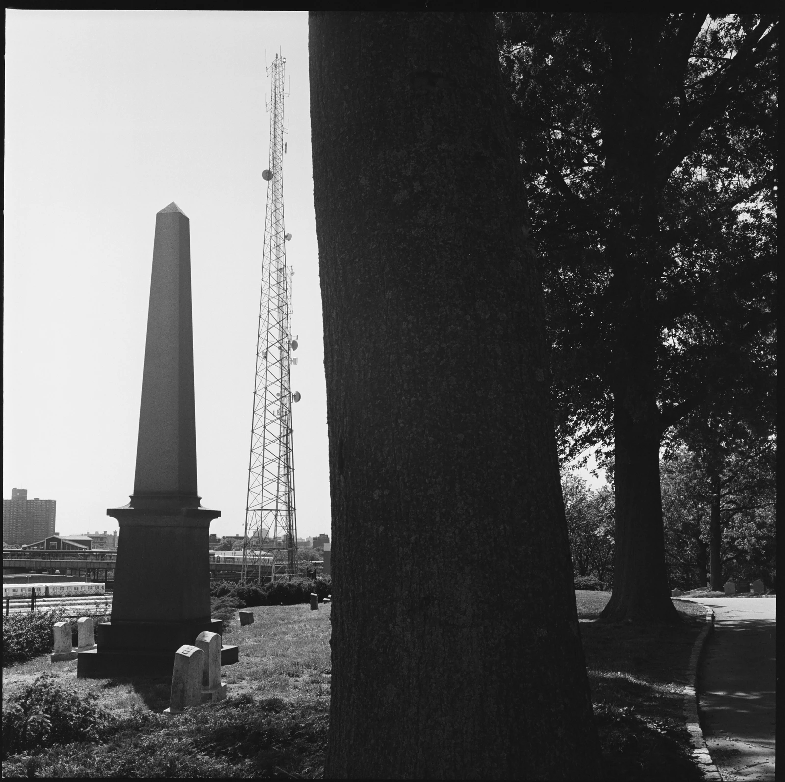 New York - Kodak Professional Tri X